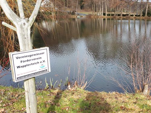 Der Wapplerteich in Ehrenfriedersdorf (Ausgangssituation)
