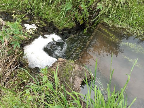 Der Harzbeckerteich in Leukersdorf (Ausgangssituation)