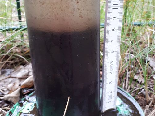 Der Regenauffangteich an KiTa in Ottendorf-Okrilla (Behandlung Mai 2020)