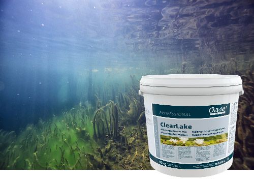 Link zum Abschnitt ClearLake