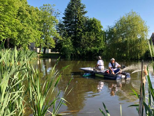 Der Dorfteich in Malschwitz Baruth (Behandlung Juni 2020)
