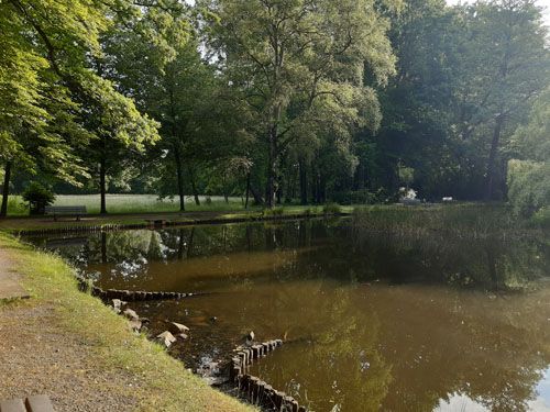 Der Ententeich in Bad Lausick (Behandlung Juni 2022)