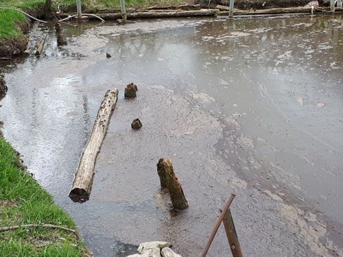 Der Dorfteich aus Hermannsdorf (Ausgangssituation)