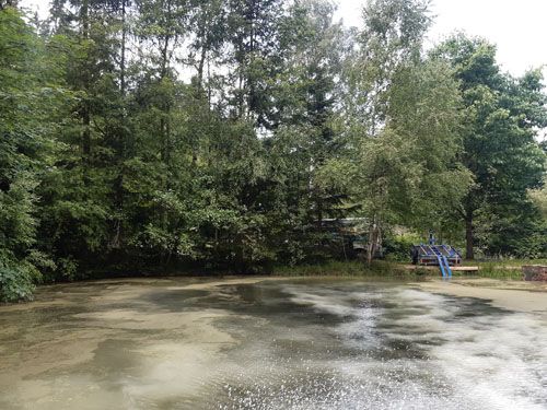 Der Löschteich in Schindelbach (Behandlung Juni 2022)