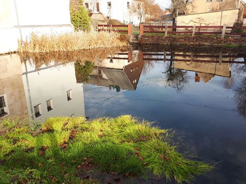 Der Rittergutsteich in Großschirma (Behandlung August 2020)