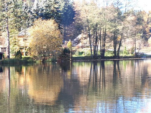 Der Vorteich zum Wapplerteich in Ehrenfriedersdorf (Behandlung Juli 2021)