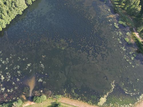 Die Ausbreitung der kanadischen Wasserpest