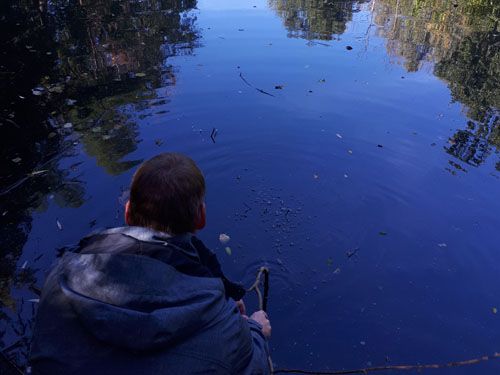 Der Stadtparkteich in Eilenburg (Ausgangssituation)