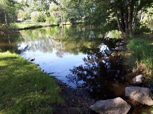 Der Unterer Hüttenteich in Olbernhau (Ausgangssituation)