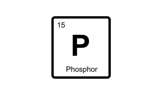 Wertec Klare Gewässer – Ökologische Gewässersanierung – Phosphatkreislauf