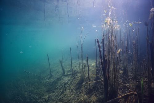 Mühlenteich FFH Naherholungsgebiet / Niedersachsen