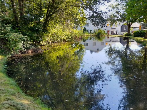 Der Dorfteich in Büna (Ausgangssituation)