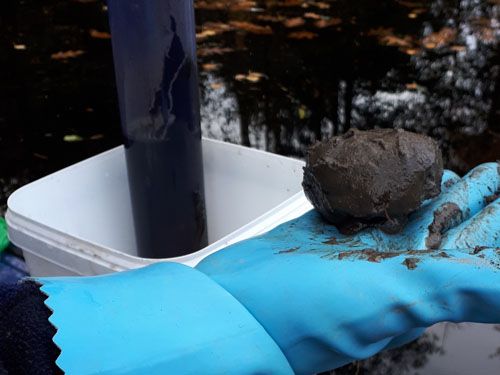 Der Löschteich in Schindelbach (Ausgangssituation)