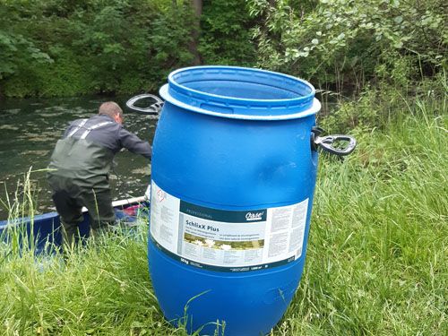 Der Ententeich in Amtsberg Dittersdorf (Behandlung Mai 2022)