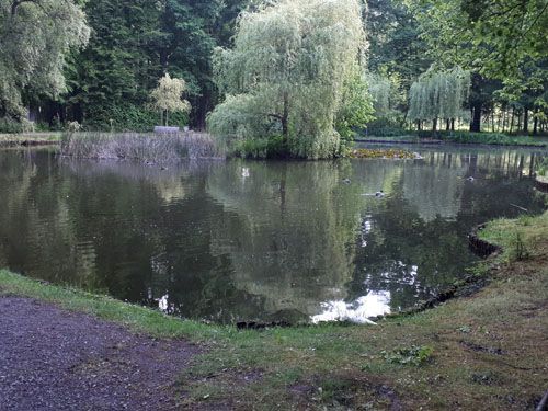 Der Ententeich in Bad Lausick (Ausgangssituation)