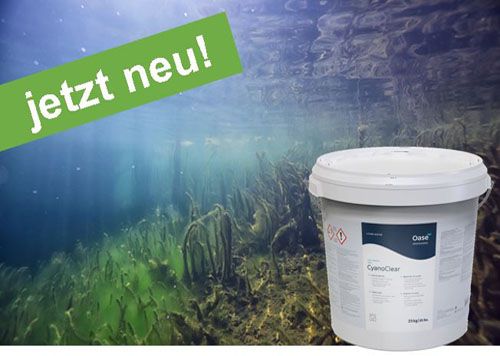 Link zum Abschnitt CyanoClear