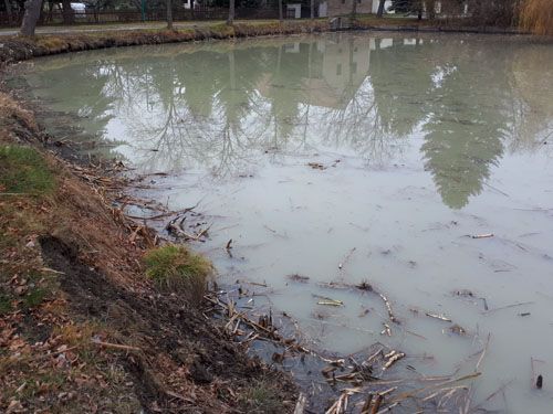 Der Dorfteich in Malschwitz Baruth (Ausgangssituation)