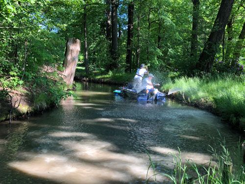 Der Schlossteich in Malschwitz Baruth (Behandlung Juni 2021)