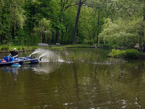 Der Ententeich in Bad Lausick (Behandlung Mai 2021)