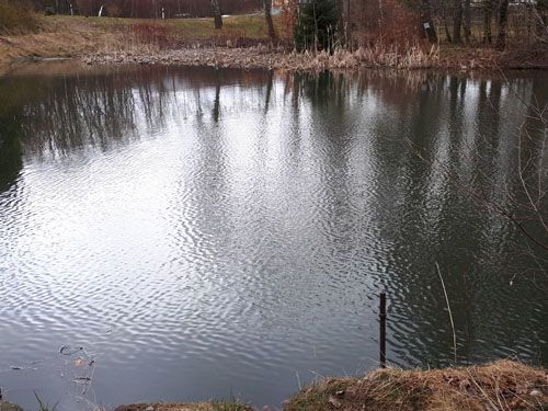 Der Vorteich zum Wapplerteich in Ehrenfriedersdorf (Ausgangssituation)