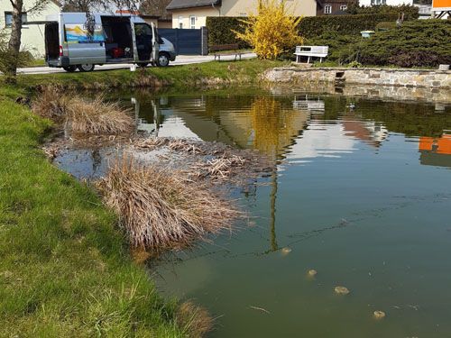 Der Dorfteich in Oberförstchen (Ausgangssituation)