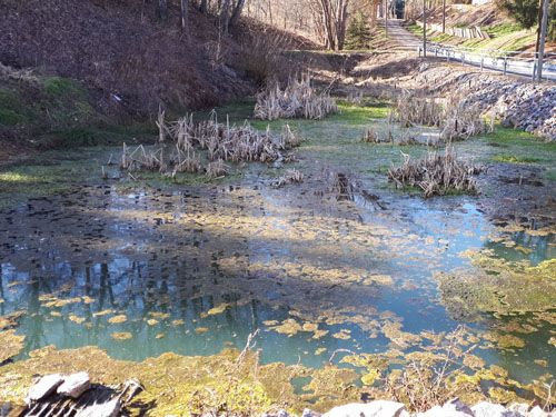 Der Löschteich in Dürrengerbisdorf (Ausgangssituation)