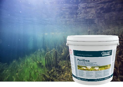 Link zum Abschnitt Peridox®