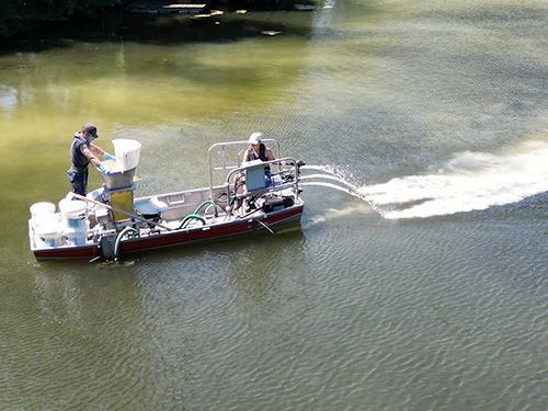 Link zum Abschnitt Gewässerbehandlung