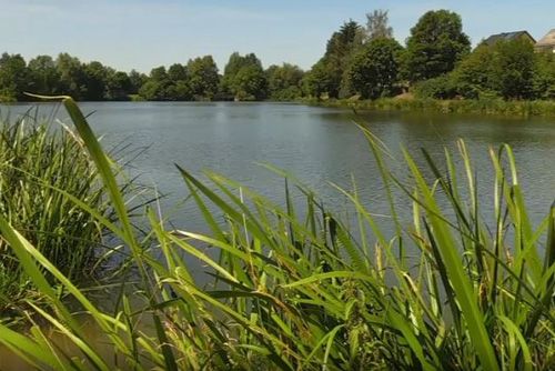 Der Bade- und Angelsee in Tauperlitz, Bayern