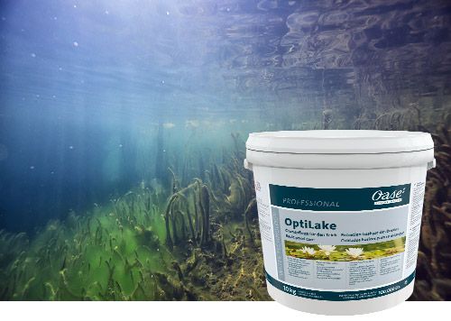 Link zum Abschnitt OptiLake