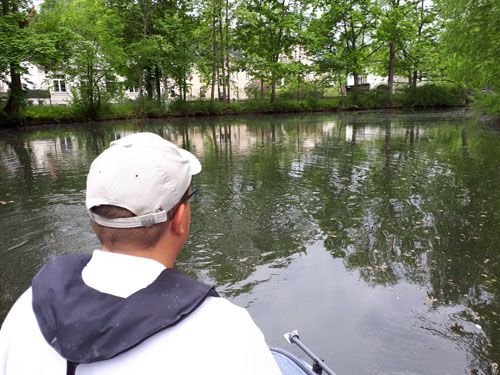 Der Rathausteich in Gelenau (Behandlung Juni 2021)