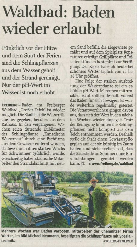 WERTEC GmbH – Wasserpest entfernen in Freiberg Waldbad Großer Teich